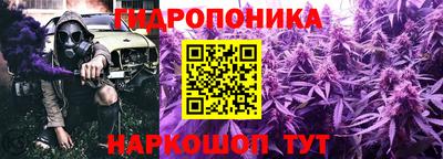ГАЛЛЮЦИНОГЕННЫЕ ГРИБЫ Тула