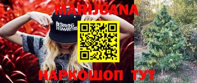 прущие крисы Тара