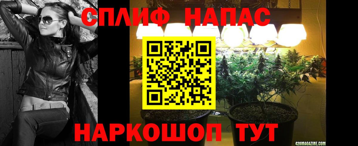 Канабис VHQ  Конопля марихуана  Вход с VPN  Бошки марихуана Bruce Banner  Ноябрьск 
